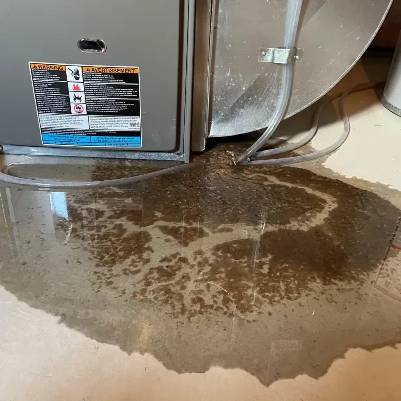 Appliance Leak Cleanup in Taylor, AL